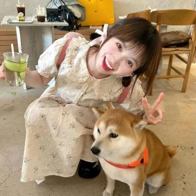 作家的谎言：笔忠诱罪