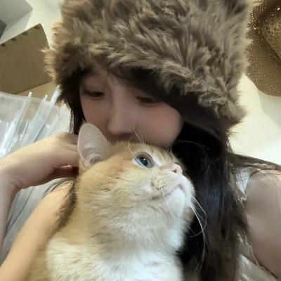 杀手蝴蝶梦